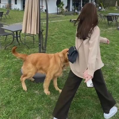 童年恶灵
