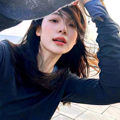 三个火枪手:达达尼昂